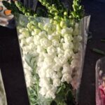 WhatsApp Image 2026-02-26 at 21.04.42