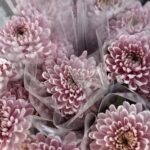 WhatsApp Image 2026-02-26 at 21.04.43