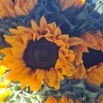 WhatsApp Image 2026-02-26 at 21.04.430987