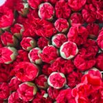 WhatsApp Image 2026-02-26 at 21.04.43ccxz