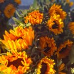 WhatsApp Image 2026-02-26 at 21.04.43i87