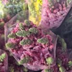 WhatsApp Image 2026-02-26 at 21.04.43ljklñkljkl