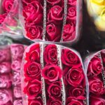 WhatsApp Image 2026-02-26 at 21.04.43ñ{p9