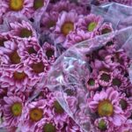 WhatsApp Image 2026-02-26 at 21.04.46mnb