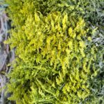 WhatsApp Image 2026-02-26 at 21.04.47