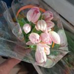 WhatsApp Image 2026-02-27 at 2.29.37 PM