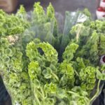 WhatsApp Image 2026-02-27 at 2.29.37 PM (2)