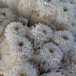 WhatsApp Image 2026-02-27 at 2.29.38 PM