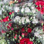 WhatsApp Image 2026-02-27 at 2.29.38 PM (2)