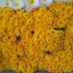 WhatsApp Image 2026-02-27 at 2.29.38 PM (3)