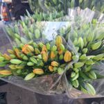 WhatsApp Image 2026-02-27 at 2.29.38 PM (4)