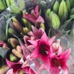 WhatsApp Image 2026-02-27 at 2.29.38 PM (5)