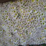 WhatsApp Image 2026-02-27 at 2.29.38 PM (7)