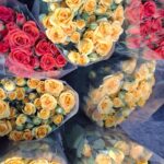 WhatsApp Image 2026-02-27 at 2.29.38 PM (8)