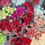 WhatsApp Image 2026-02-27 at 2.29.38 PM (9)